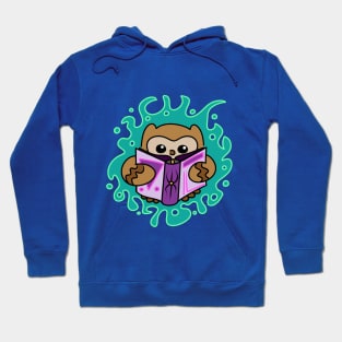 The Arcane Owl Hoodie